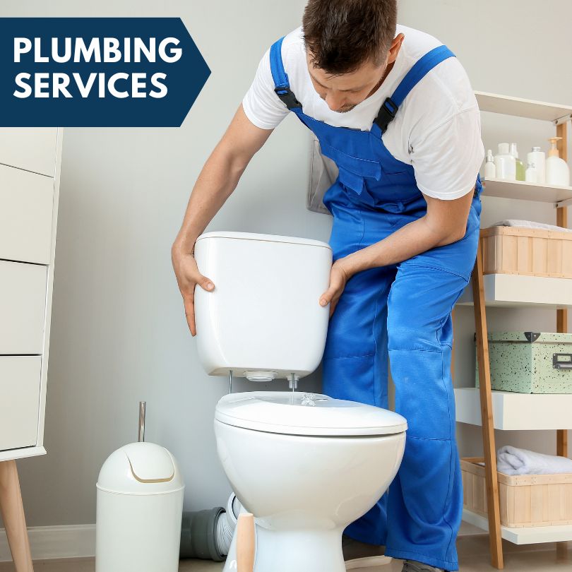 Plumbing Company in Wausau, FL